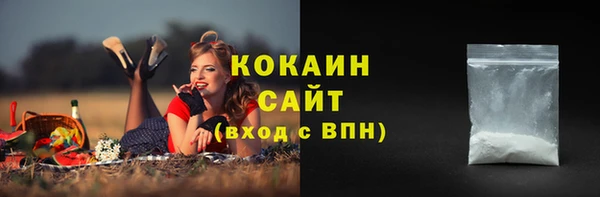 меф Арсеньев