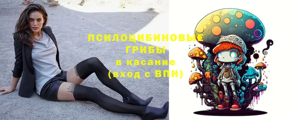 PSILOCYBIN Балабаново